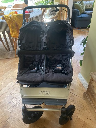 Double mountain buggy with